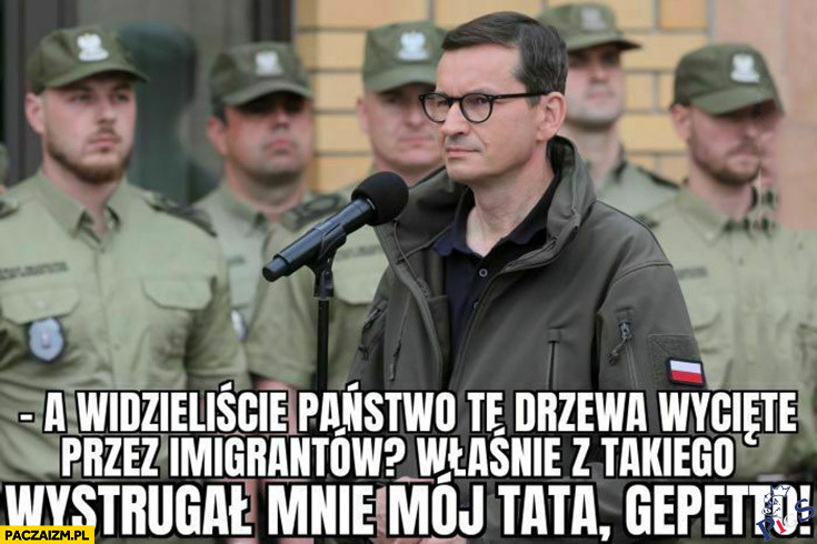 Widzieliście państwo te drzewa?