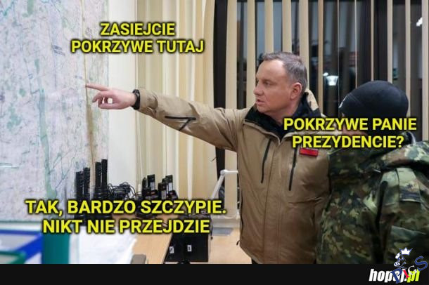 Zasiejcie pokrzywę tutaj