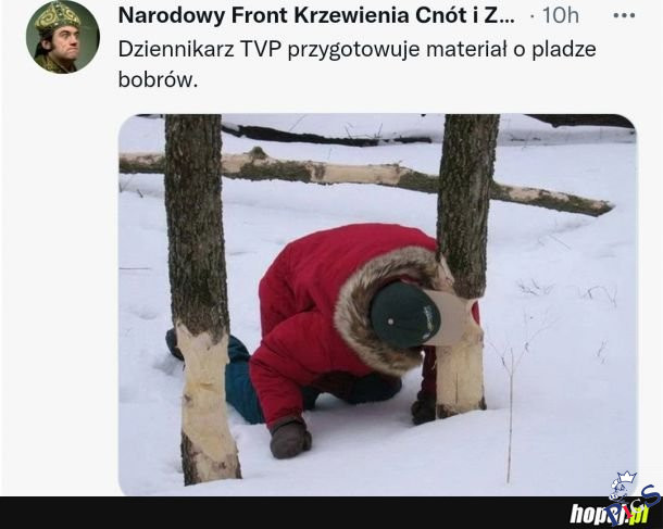 Dziennikarze TVP tak działają