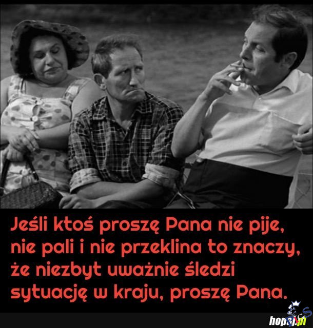 I aż się czasami chce wyjść z kina!