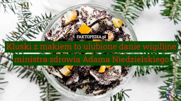 Kluski z makiem to ulubione danie wigiline ministra zdrowia Adama Niedzielskiego