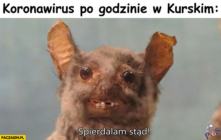 Koronawizrus po godzinie w Kurskim