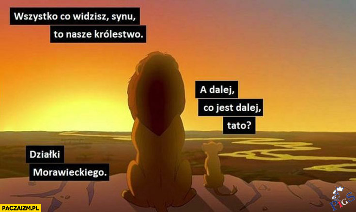 Król lew