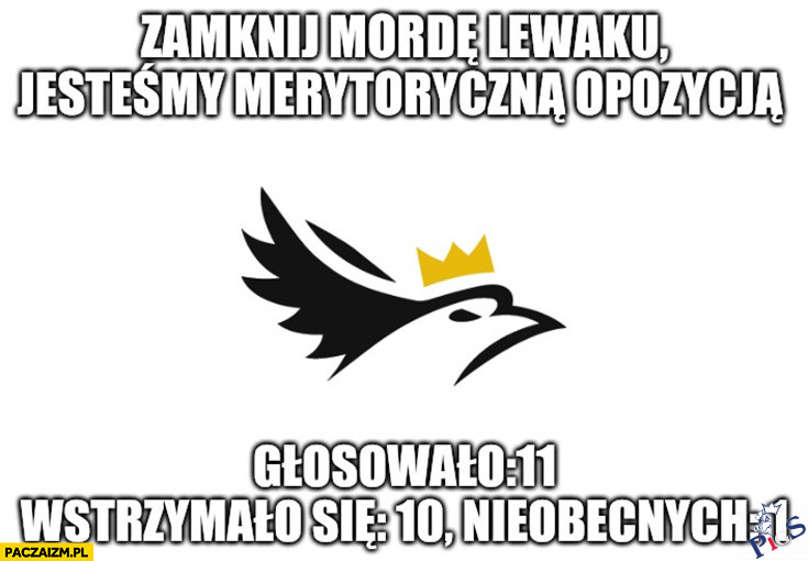 Merytoryczna opozycja