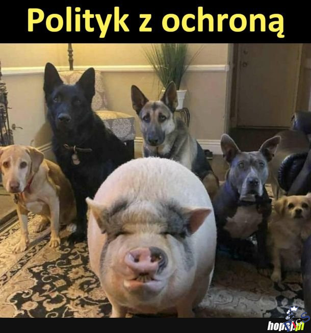 Poilityk z ochroną
