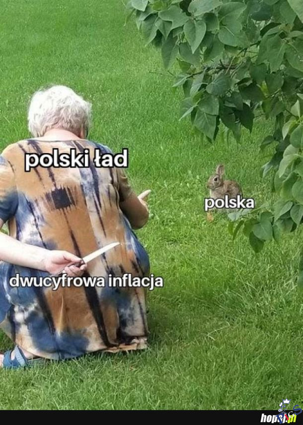 Polski ład