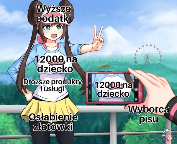 Wyborca PiSu