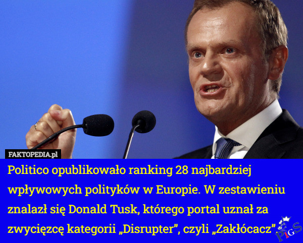 Zakłócacz