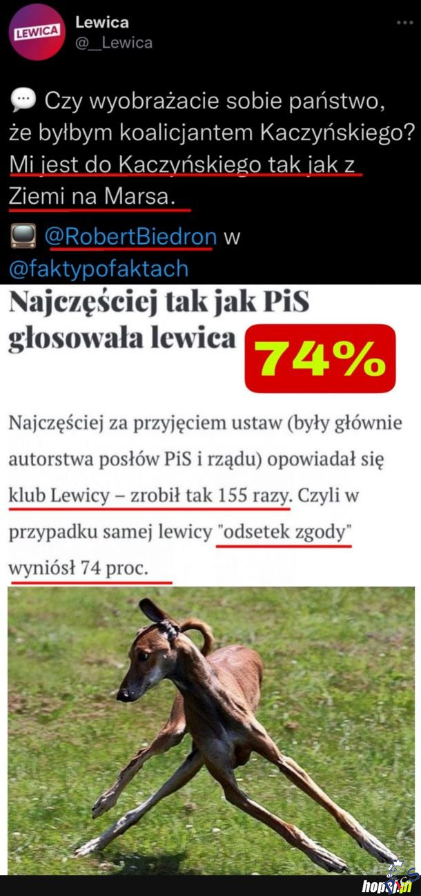 Całkiem logiczne