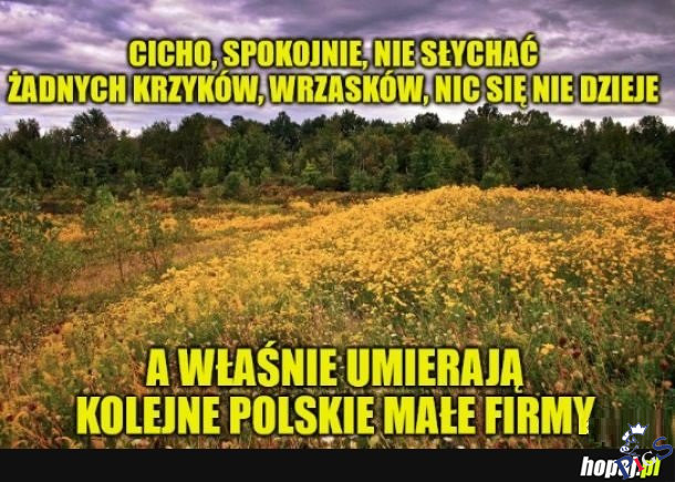 Cicho