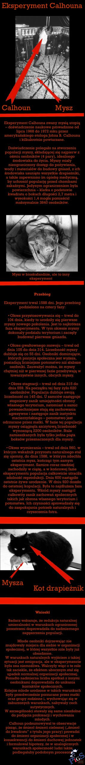 Czy widzicie alegorię w dzisiejszym społeczeństwie?