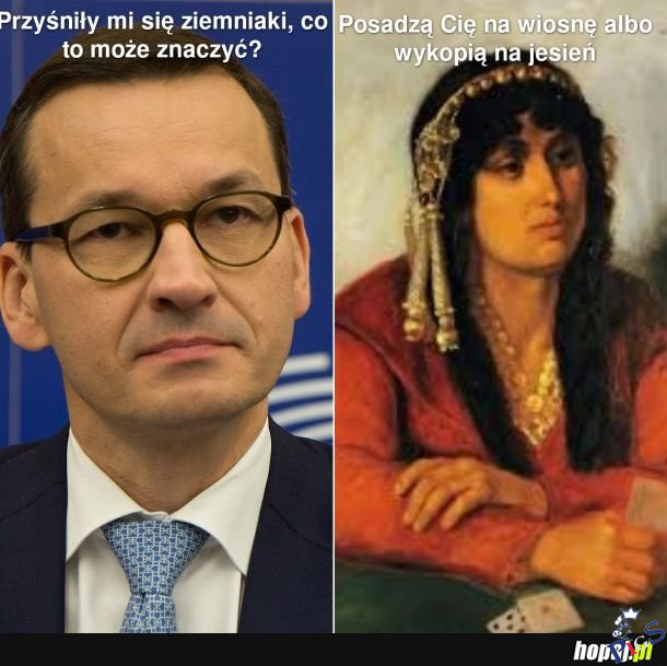 Gdyby to było państwo prawa