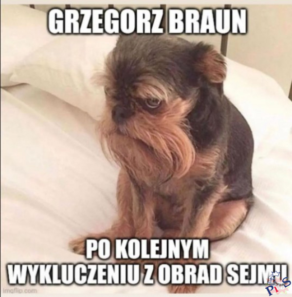 Grzegorz Braun