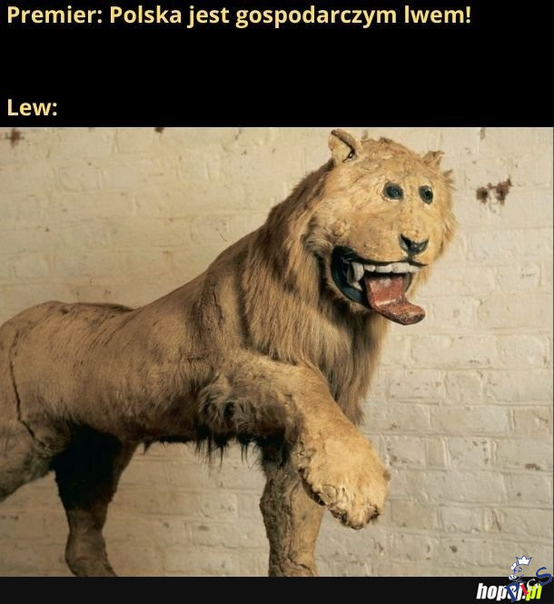 Lew