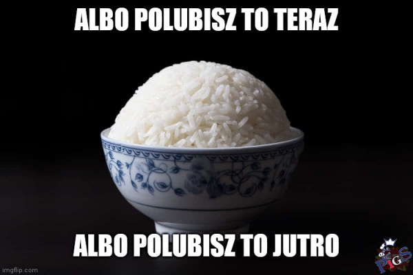 Mateusz daje Ci wybór