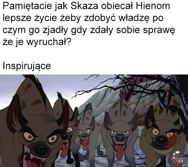 Nikomu nie podpowiadam
