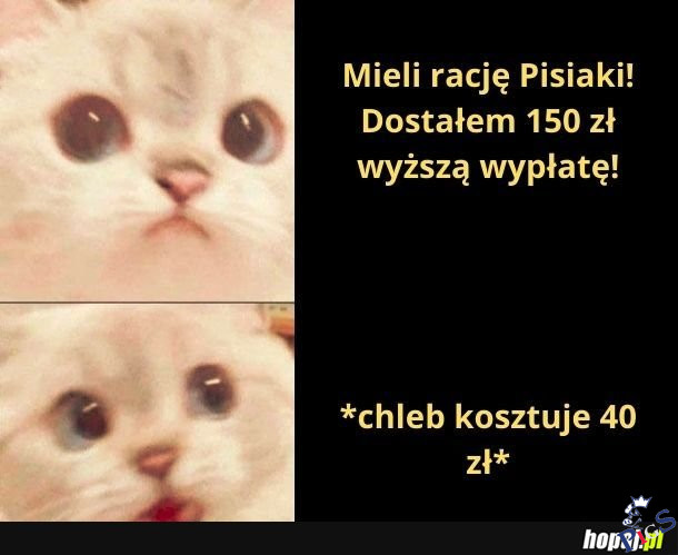 Nominalnie vs. realnie robi różnicę