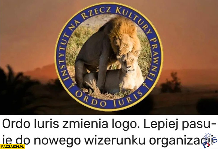 Nowy wizerunek organizacji