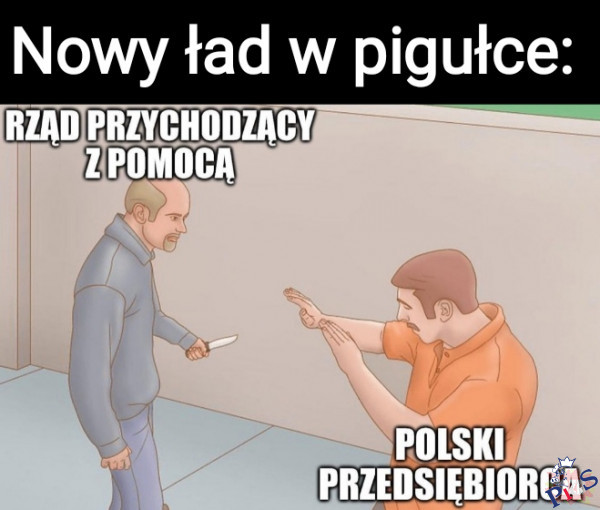Nowy ład w pigułce