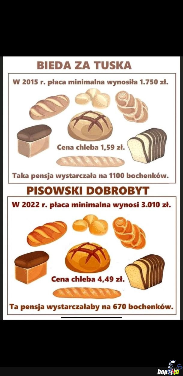 Pisowski dobrobyt