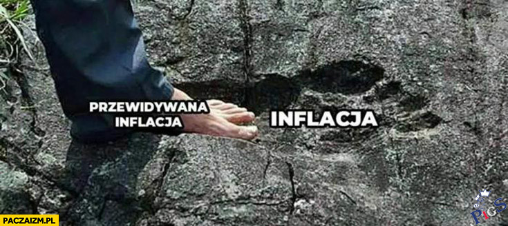 Przwidywania vs. rzeczywistość