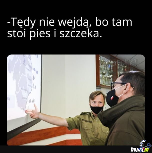 Psy dupami szczekają