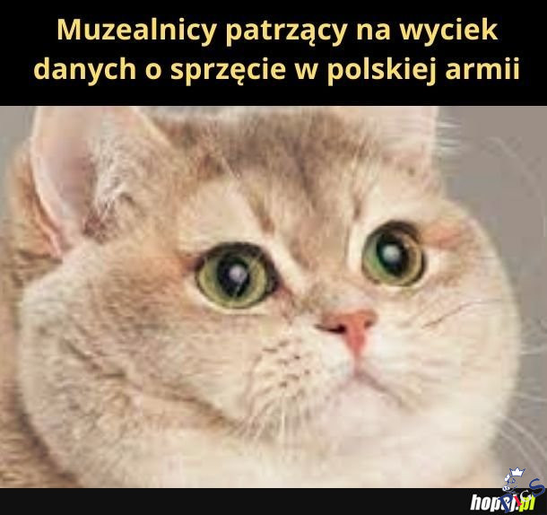 Same rarytasy