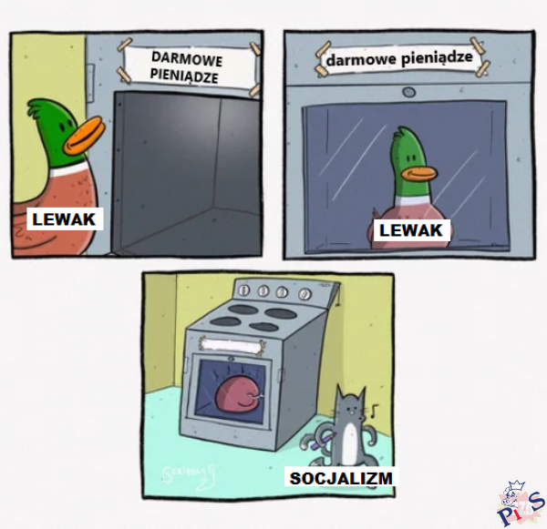 Socjalizm