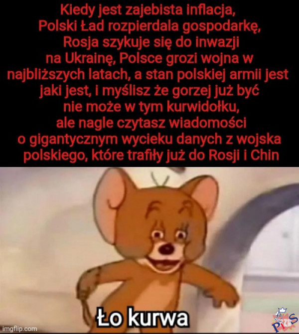 Stan polskiej armii mieści się raptem w 39MB danych