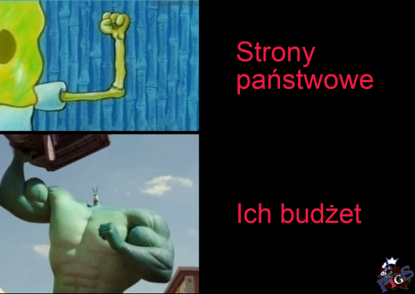 Strony Państwowe vs. ich budżet