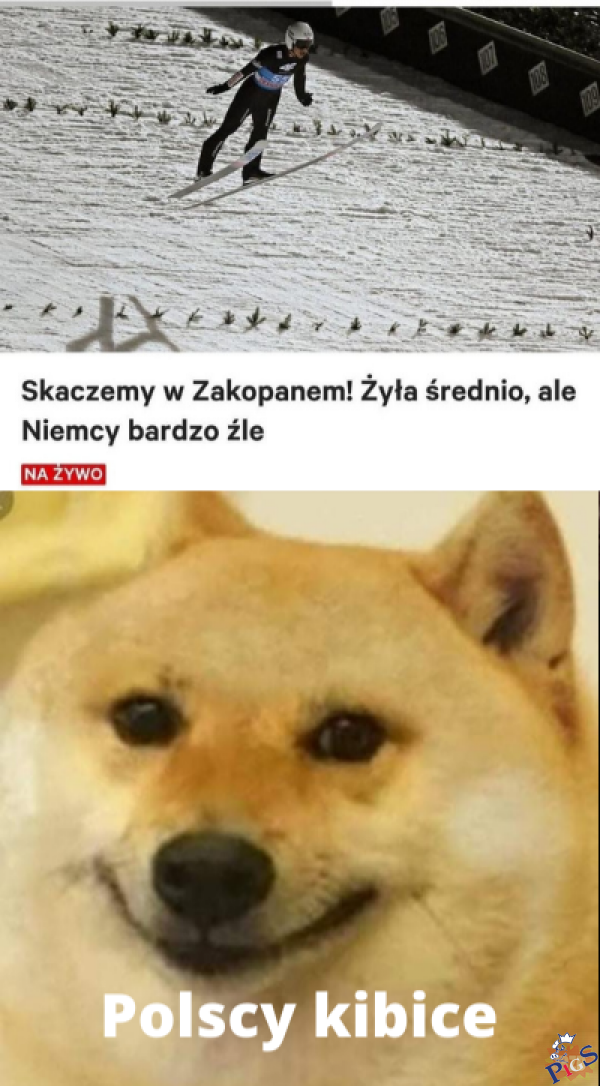TVP podsyca germanofobię?
