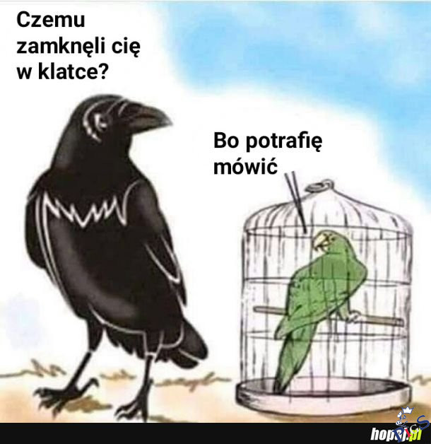 Tak robią PiSiory ze swoimi wrogami