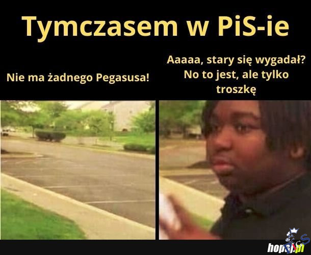 Tymczasem w PiSie