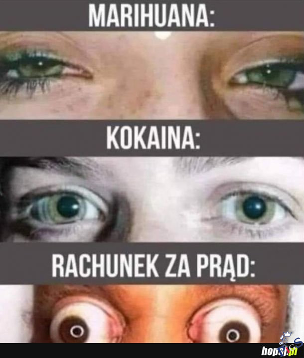 Używki w Polsce