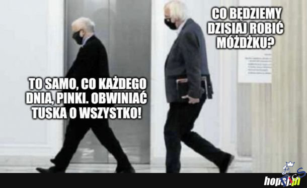 Co będziemy dzisiaj robić móżdzku?