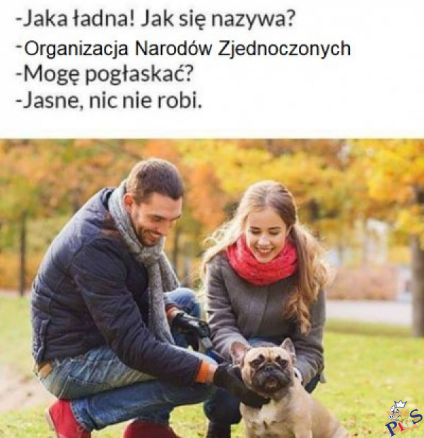 Druga Liga Narodów?