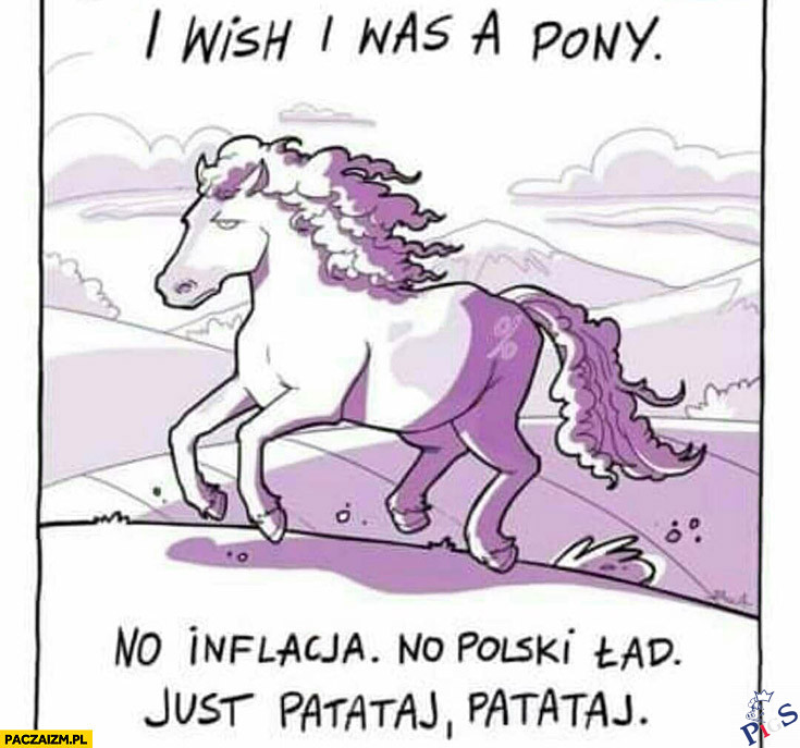 I wish I was a ponny
