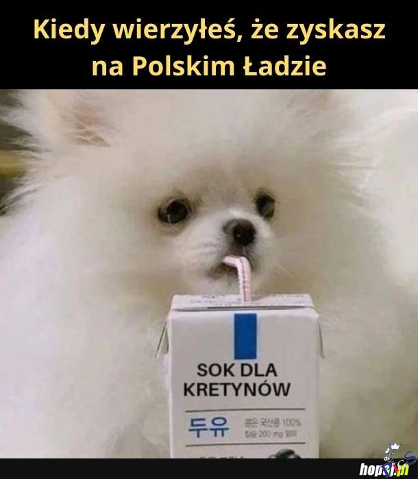 Kiedy wierzyłeś, że zyskasz na Polskim Ładzie