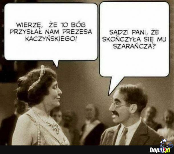Kolejna plaga