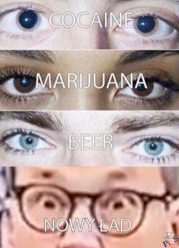 Nieźle kopie