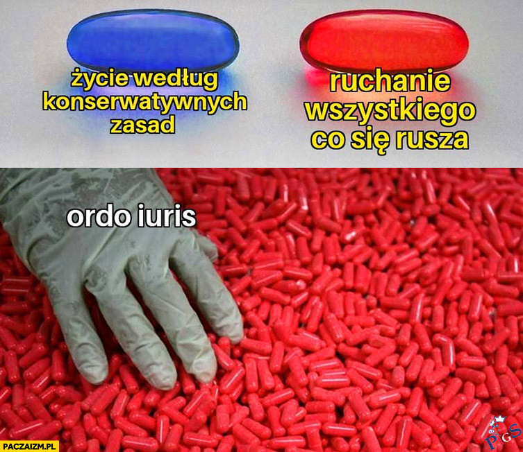 Pigułki wedle Ordo Iuris