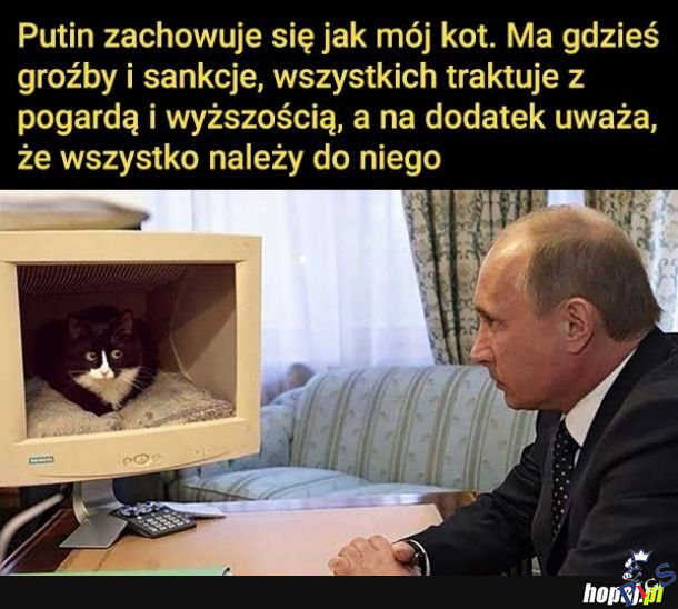 Putin jest jak kot