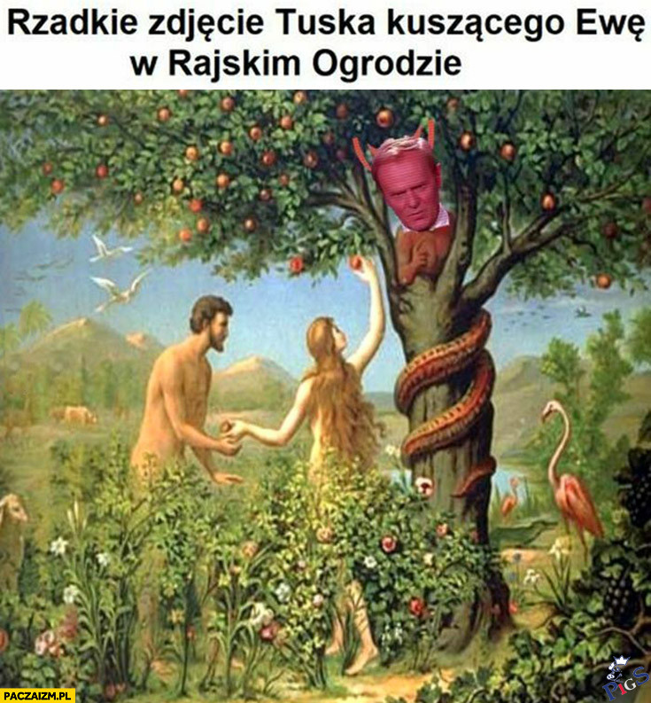 Rzadkie zdjęcie Tuska kuszącego Ewę