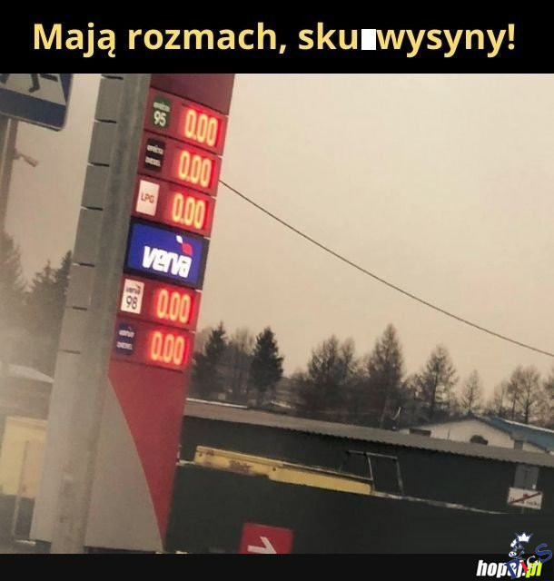 Szykują się na przyjazd TVP z kamerą