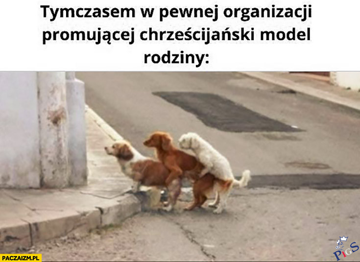Tymczasem w pewnej organizacji promującej chrześcijański model rodziny
