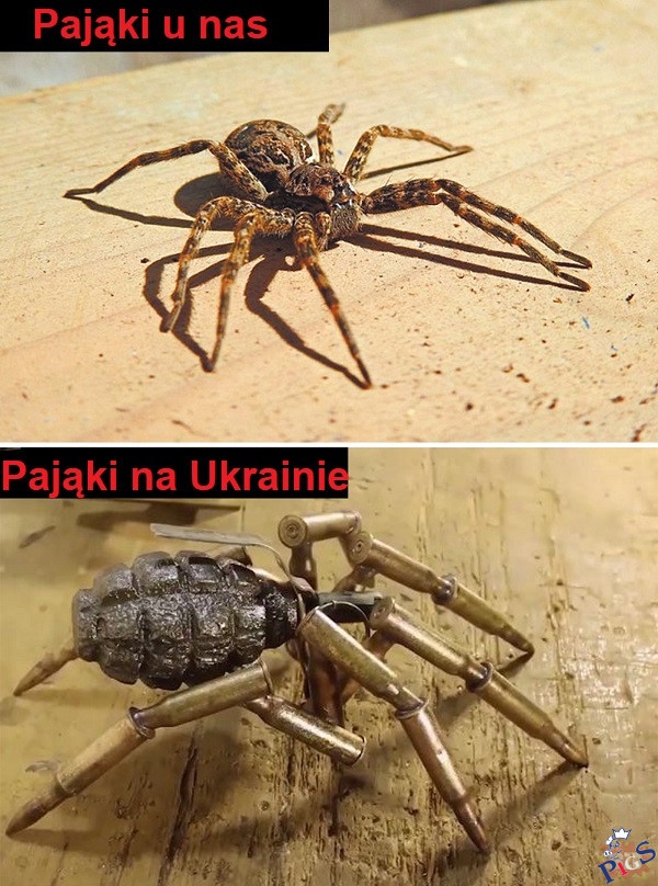 Tymczasem zbrojenia trwają