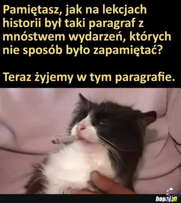 Jedyny plus tej całej sytuacji to to, że tworzymy historię