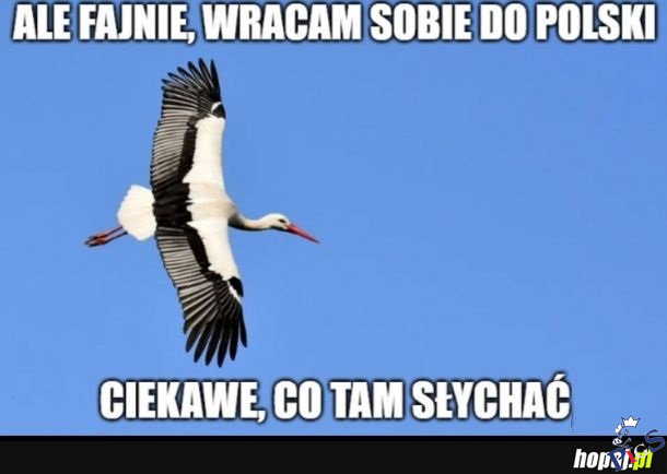 Jeśli wyleciał przed 2014 to zapewne zawróci