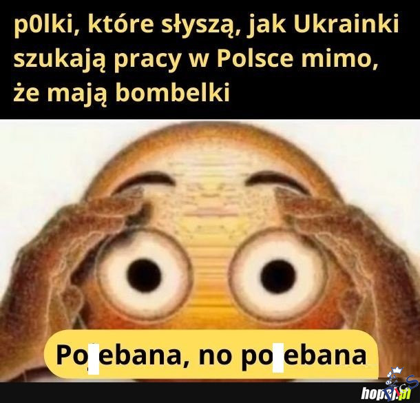 P0lki mogłyby się od nich uczyć