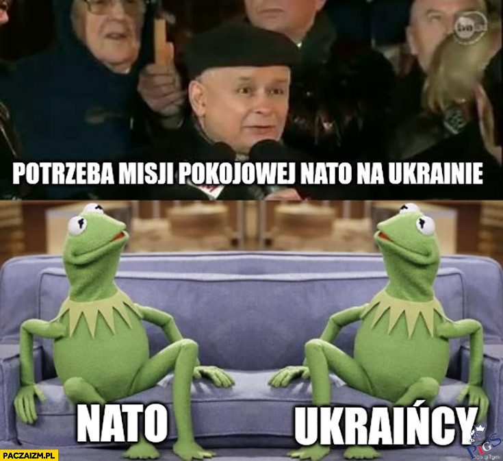 Say what?